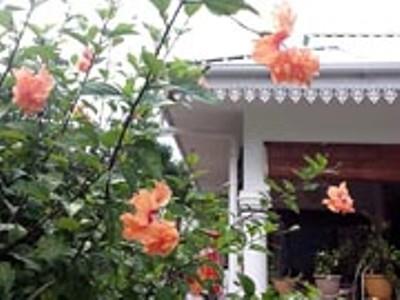 Coco Bay Guest House Anse Volbert Village  Bagian luar foto